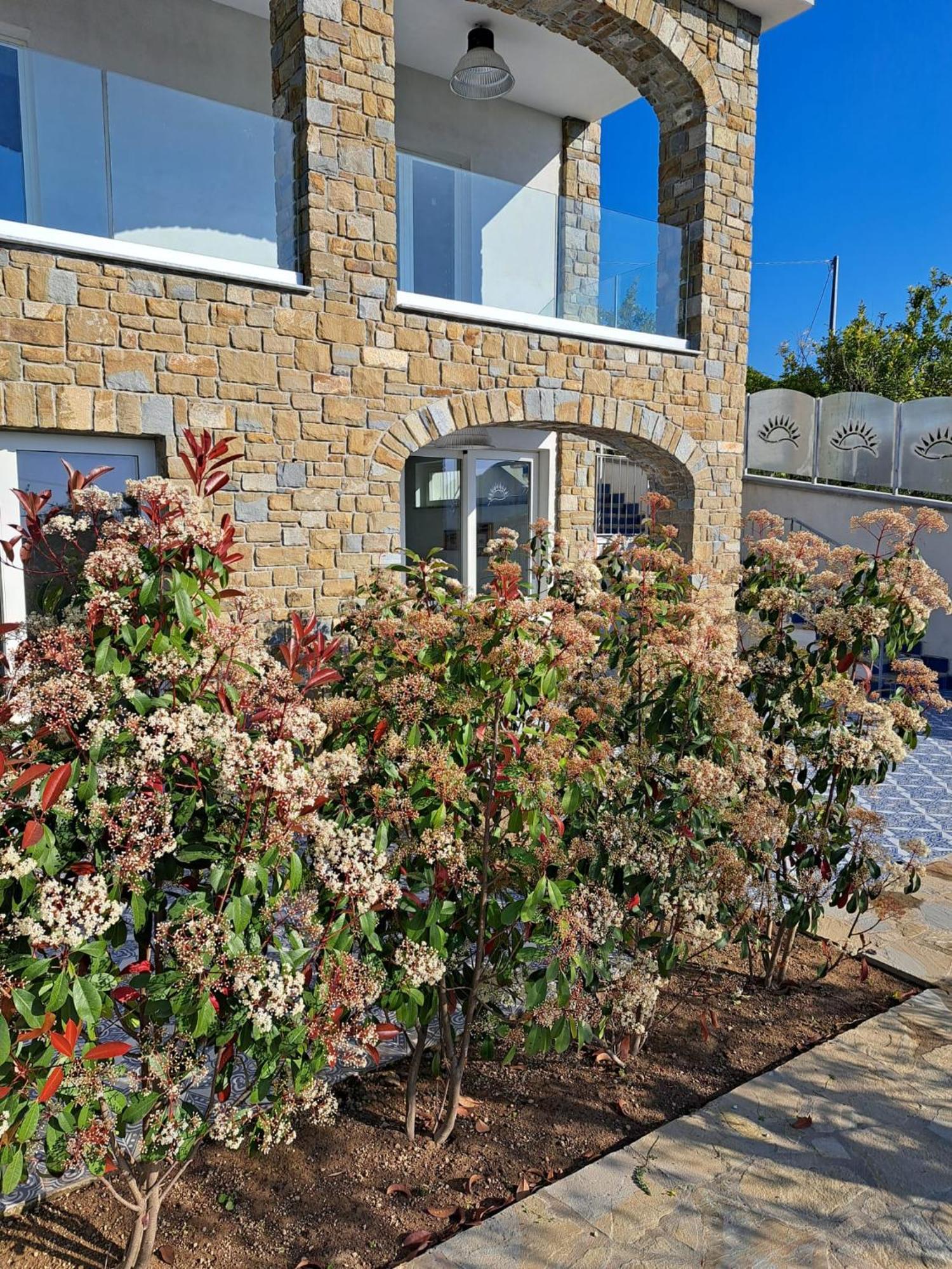 Paoma Bed & Breakfast Agropoli Exterior photo